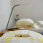 Schwarzwald Europapark Penthouse Sunshine דירה להר