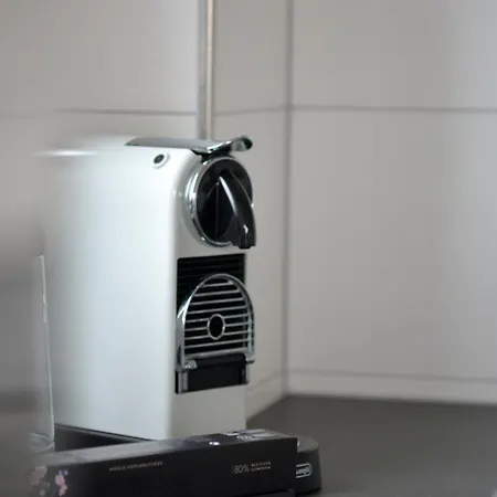 Schwarzwald Europapark Penthouse Sunshine Apartment