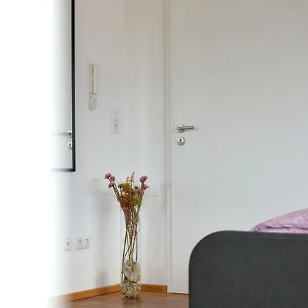 Schwarzwald Europapark Penthouse Sunshine Апартаменты *