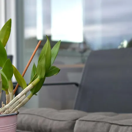 Schwarzwald Europapark Penthouse Sunshine Apartment Lahr (Baden-Wurttemberg)