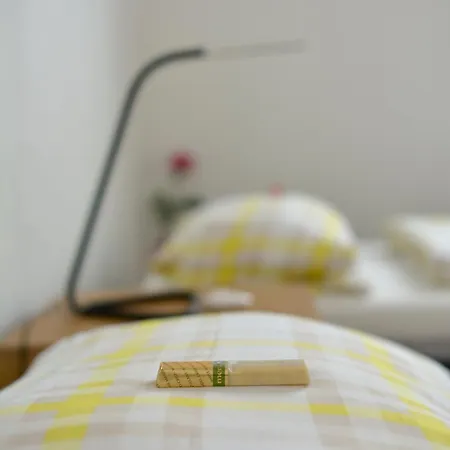 Schwarzwald Europapark Penthouse Sunshine Apartment Lahr (Baden-Wurttemberg)