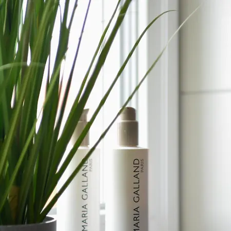 Apartment Schwarzwald Europapark Penthouse Sunshine